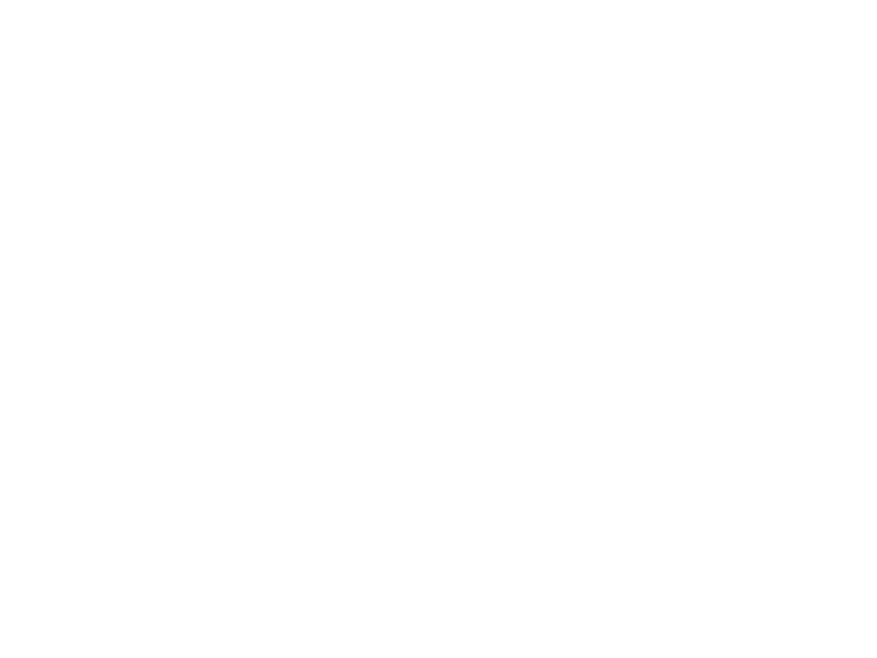 RapidScale.Digital